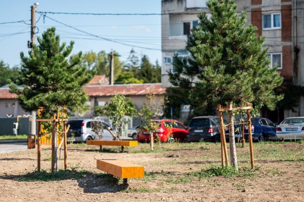 WhatsApp Image 2024-03-13 at 14.27.00 (1)