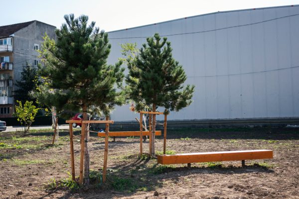 WhatsApp Image 2024-03-13 at 14.27.29 (4)