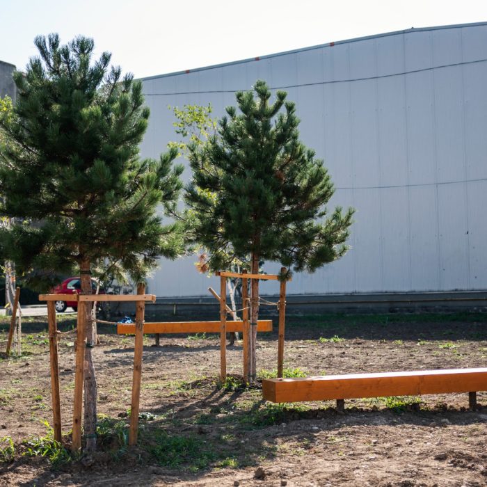 WhatsApp Image 2024-03-13 at 14.27.29 (4)