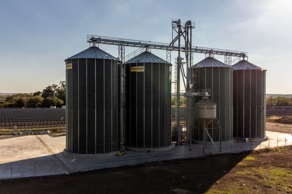 WhatsApp Image 2024-03-20 at 13.53.11 (6)