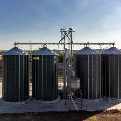 WhatsApp Image 2024-03-20 at 13.53.12 (1)