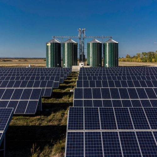 WhatsApp Image 2024-03-20 at 13.53.12 (2)