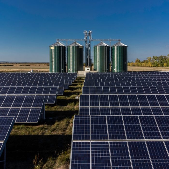 WhatsApp Image 2024-03-20 at 13.53.12 (2)