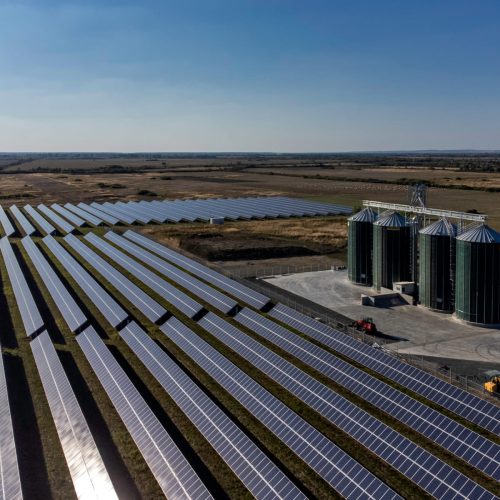 WhatsApp Image 2024-03-20 at 13.53.12 (4)