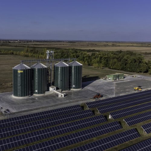 WhatsApp Image 2024-03-20 at 13.53.12 (5)