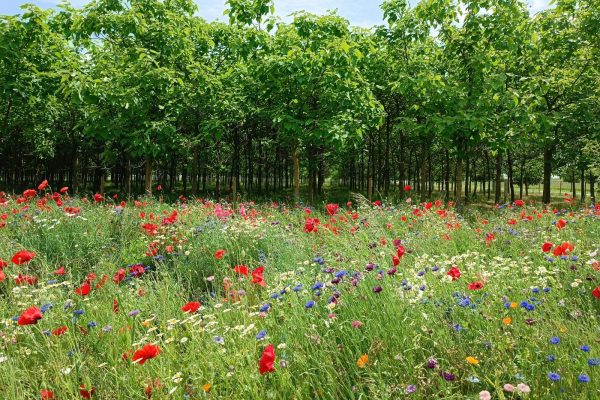 WhatsApp Image 2024-03-20 at 13.53.13 (2)