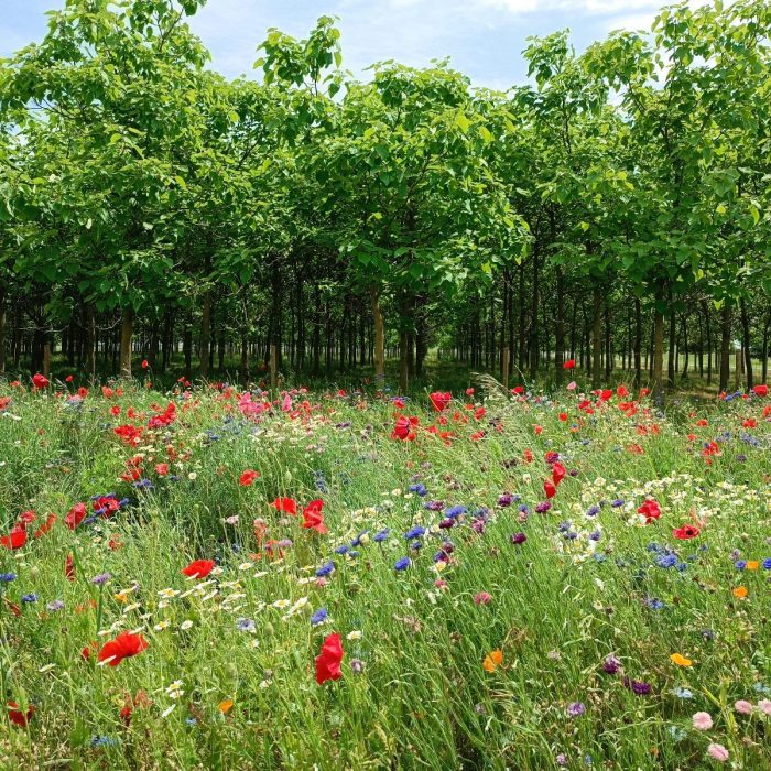 WhatsApp Image 2024-03-20 at 13.53.13 (2)