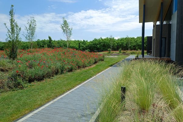 WhatsApp Image 2024-03-20 at 13.53.13 (3)