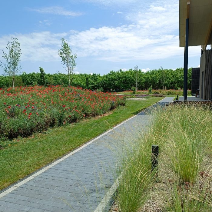 WhatsApp Image 2024-03-20 at 13.53.13 (3)