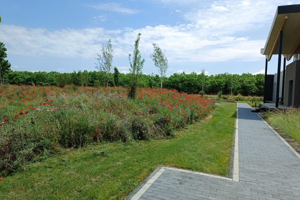 WhatsApp Image 2024-03-20 at 13.53.13 (4)