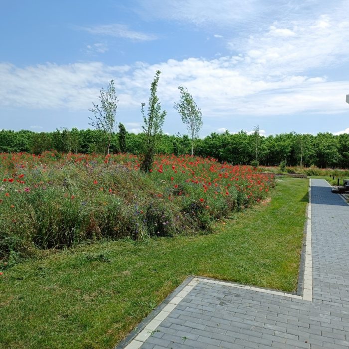 WhatsApp Image 2024-03-20 at 13.53.13 (4)