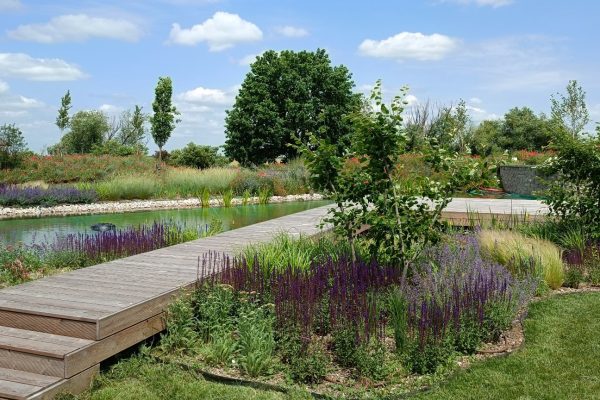 WhatsApp-Image-2024-03-20-at-14.16.06-1