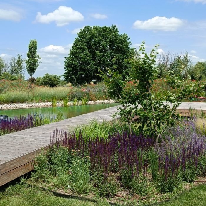 WhatsApp-Image-2024-03-20-at-14.16.06-1