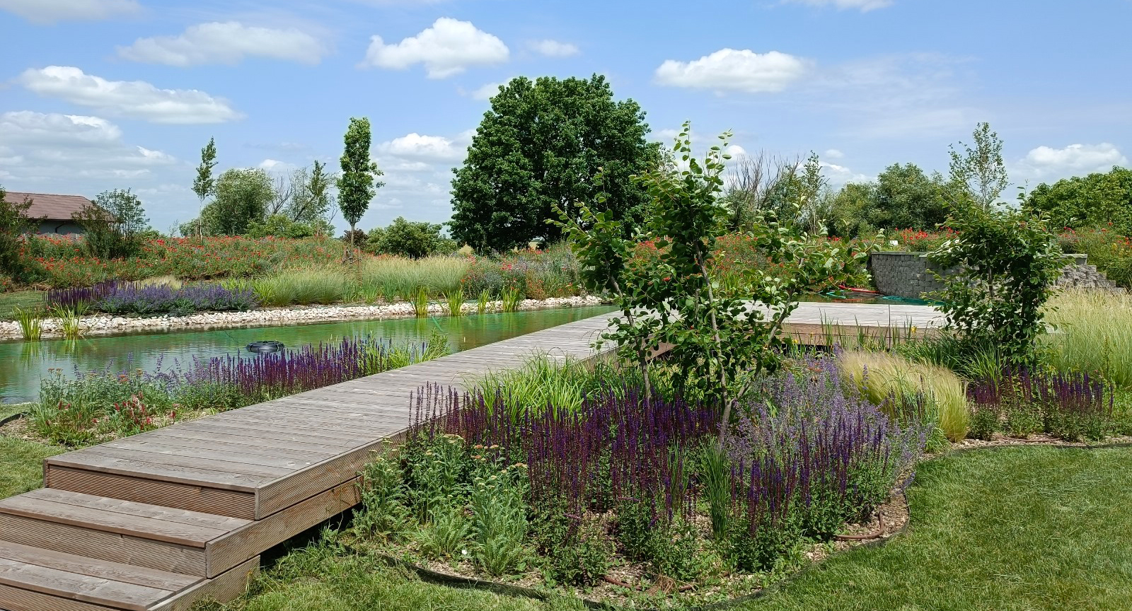 WhatsApp-Image-2024-03-20-at-14.16.06-1