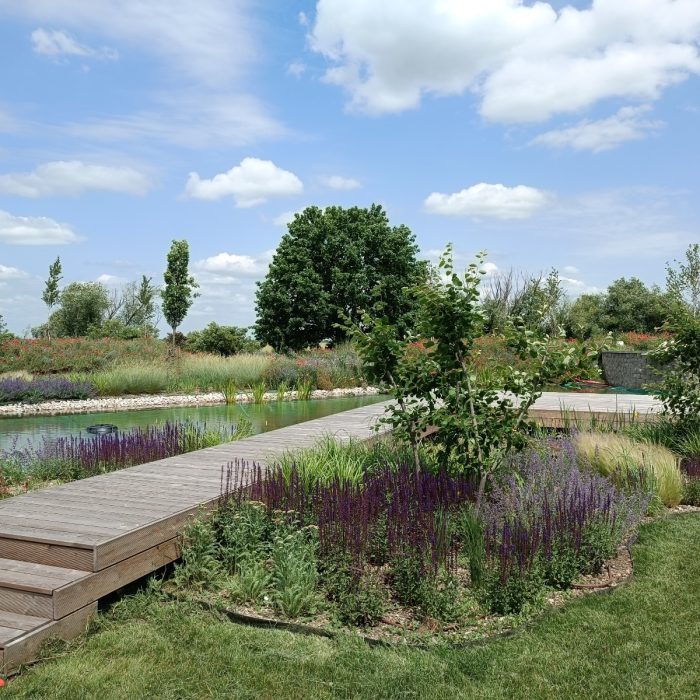 WhatsApp Image 2024-03-20 at 14.16.06 (1)